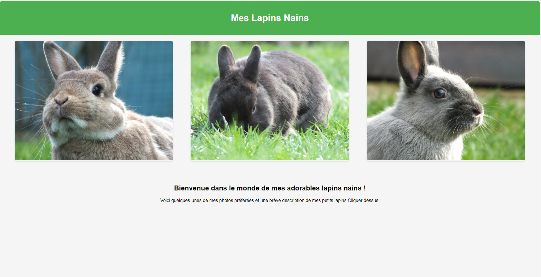 Image of the Lapin1 website